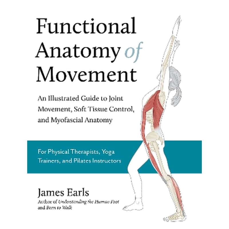 Functional Anatomy of Movement
