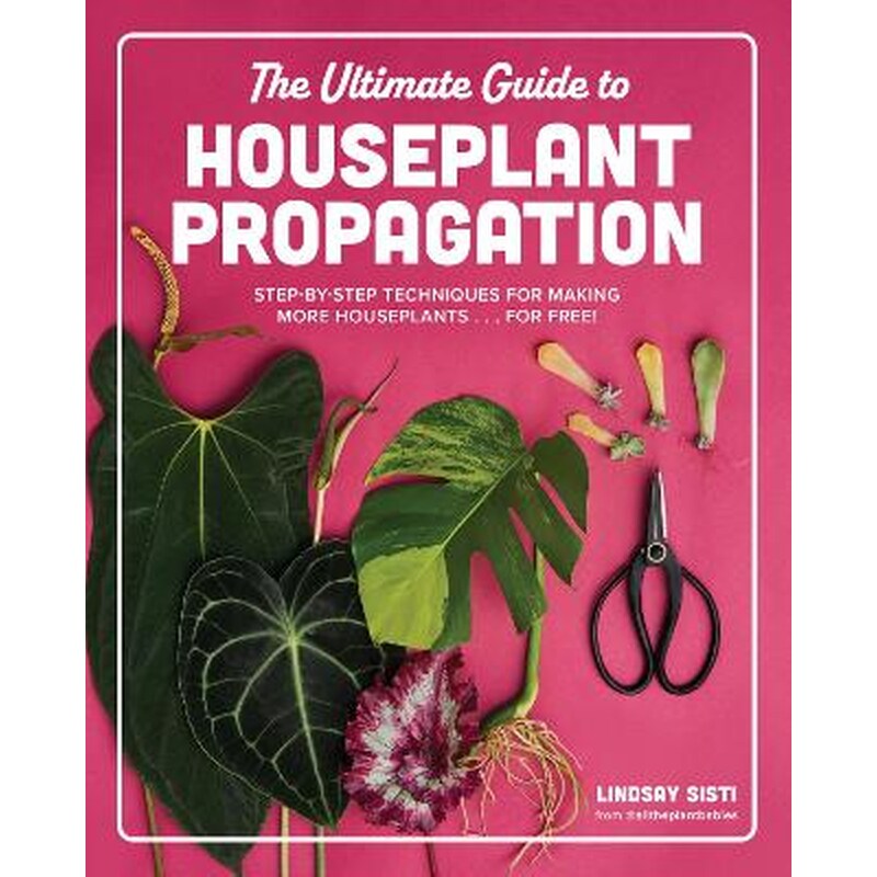 The Ultimate Guide to Houseplant Propagation