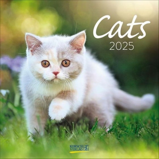 Ημερολόγιο Τοίχου 2025 Cats image 0