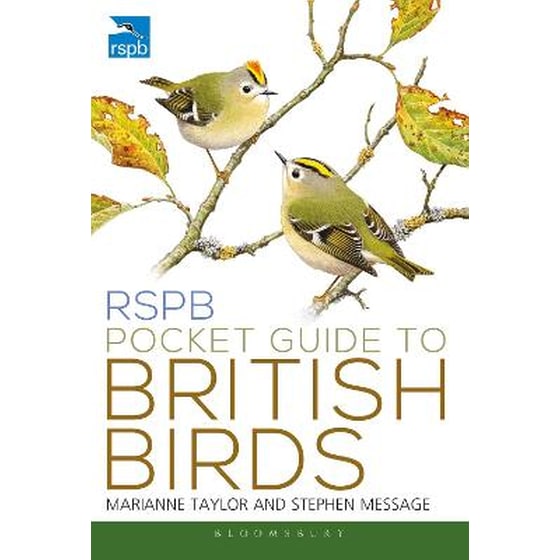 RSPB Pocket Guide to British Birds image 0
