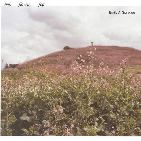 Hill, Flower, Fog (White LP) image 0