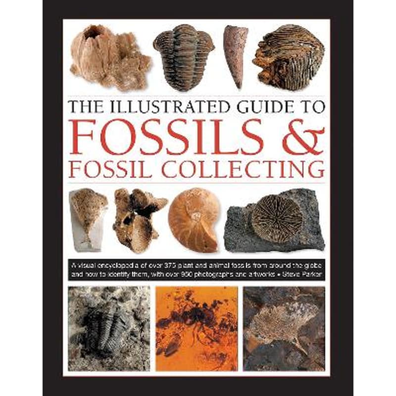 Fossils Fossil Collecting, The Illustrated Guide to