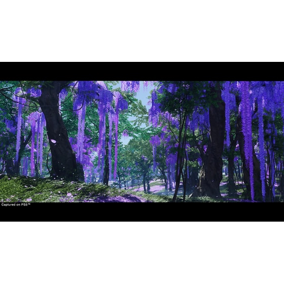Ghost of Tsushima Director's Cut - PS5 image 7