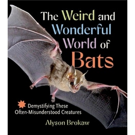 The Weird and Wonderful World of Bats
