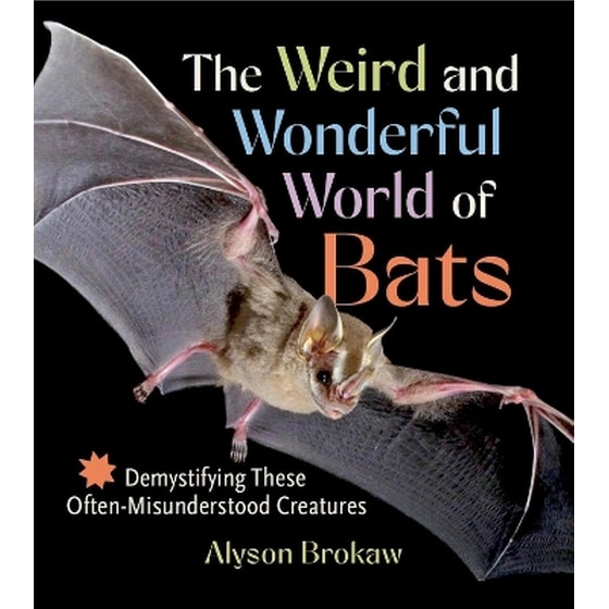 The Weird and Wonderful World of Bats image 0