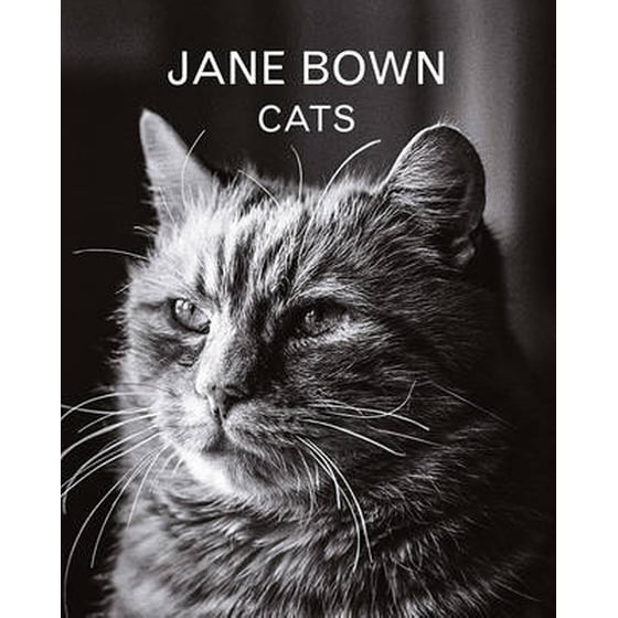 Jane Bown- Cats image 0