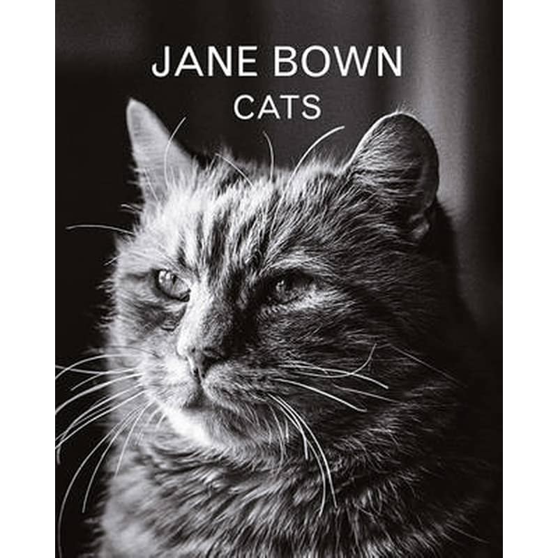 Jane Bown- Cats