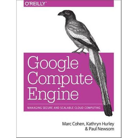Google Compute Engine image 0