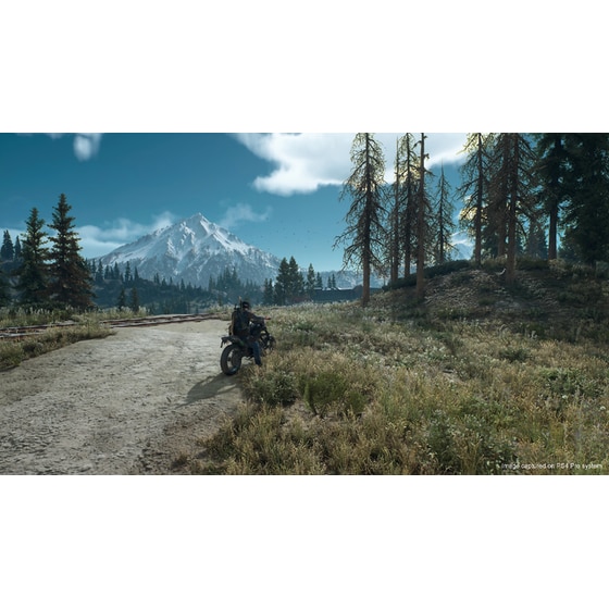 Days Gone - PS4 image 18