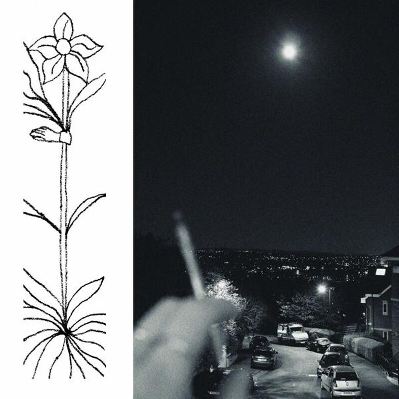 A Soft And Gatherable Star (LP)