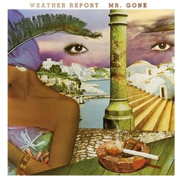 Mr. Gone - Limited 180 Gram Gold & Black Marbled Vinyl