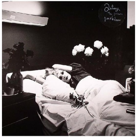 I Am A Bird Now image 0