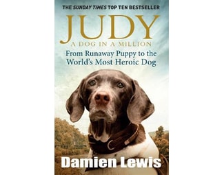 Judy: A Dog in a Million image 0