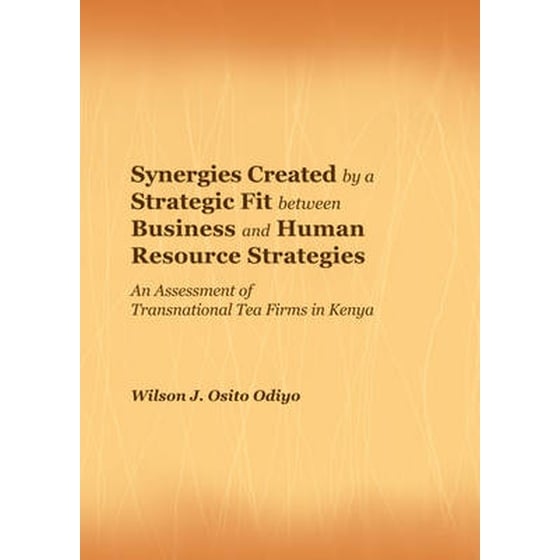 Synergies Created by a Strategic Fit between Business and Human Resource Strategies image 0