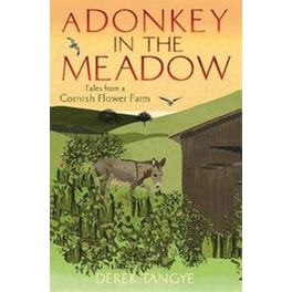 A Donkey in the Meadow