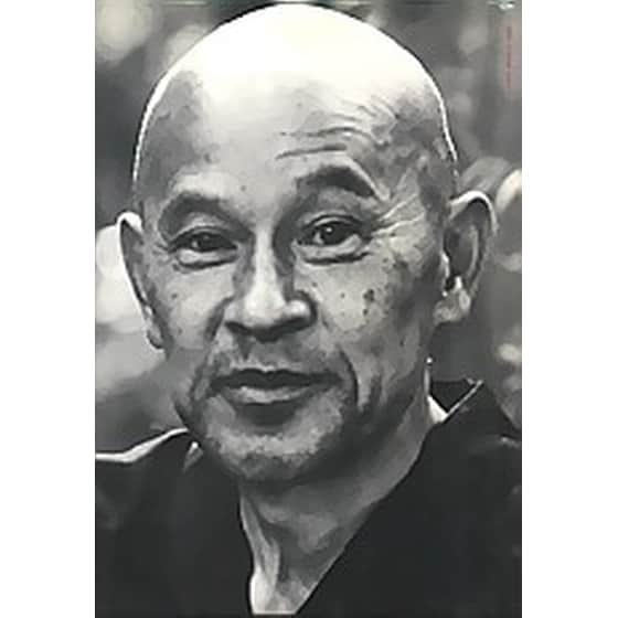 Ζεν νους, ο νους του αρχάριου image 2