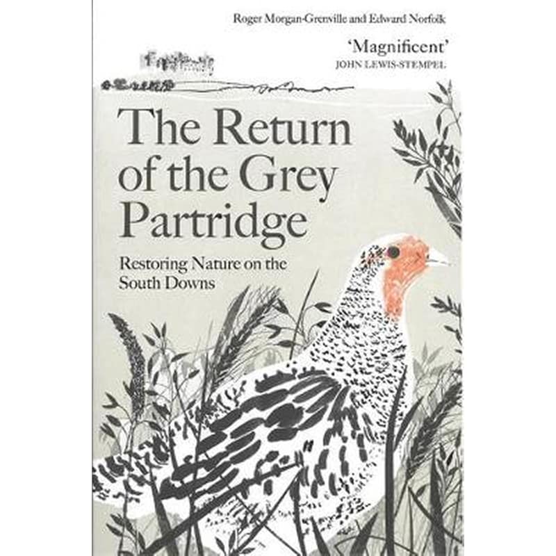The Return of the Grey Partridge