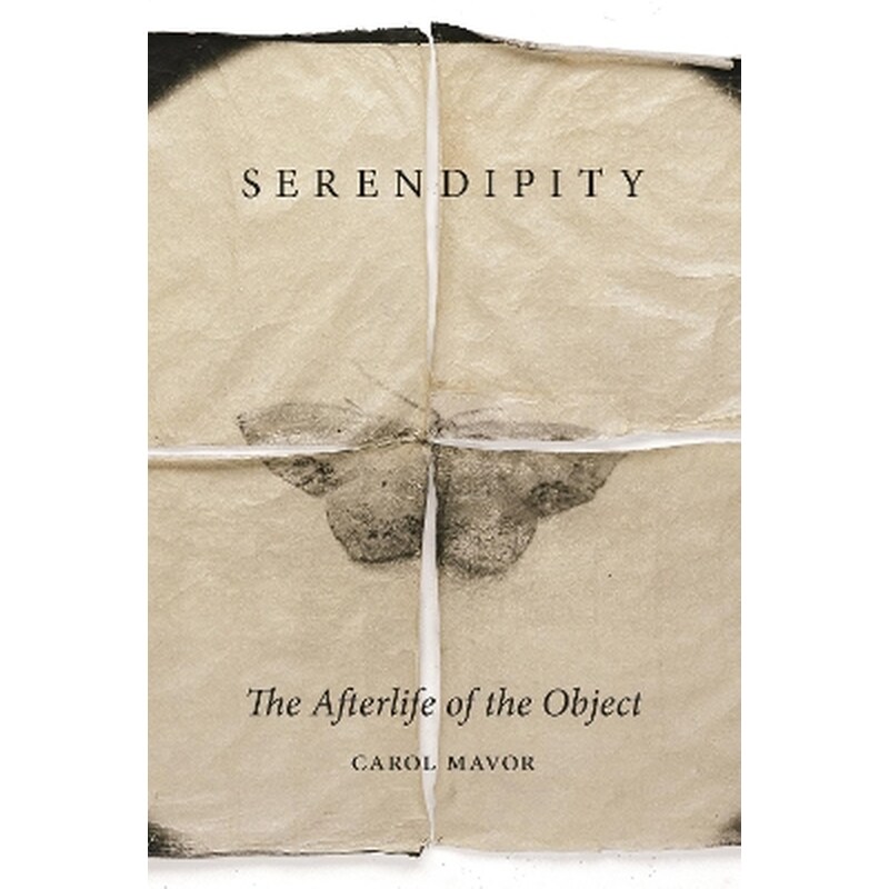 Serendipity