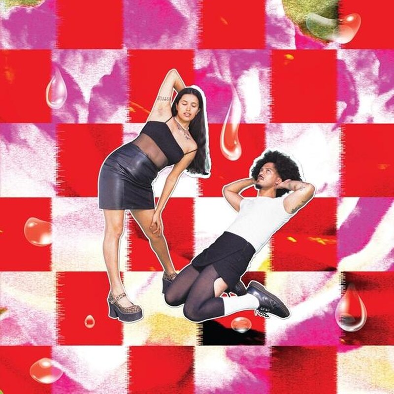 All The Girls In The Room Say sorry