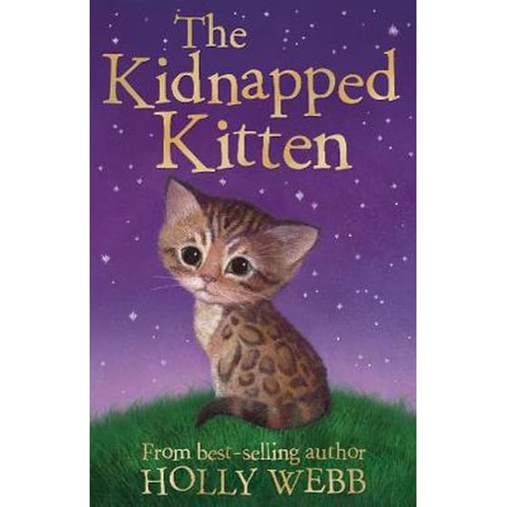 The Kidnapped Kitten image 0