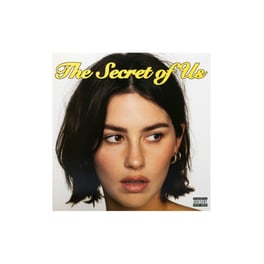 The Secret Of Us (LP)