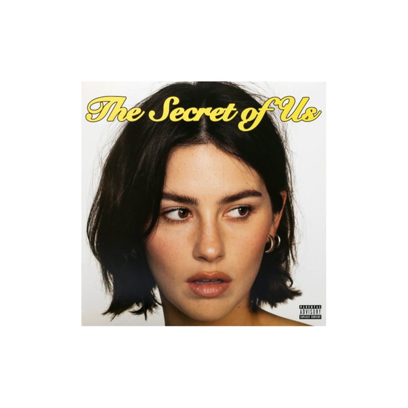 The Secret Of Us (LP)