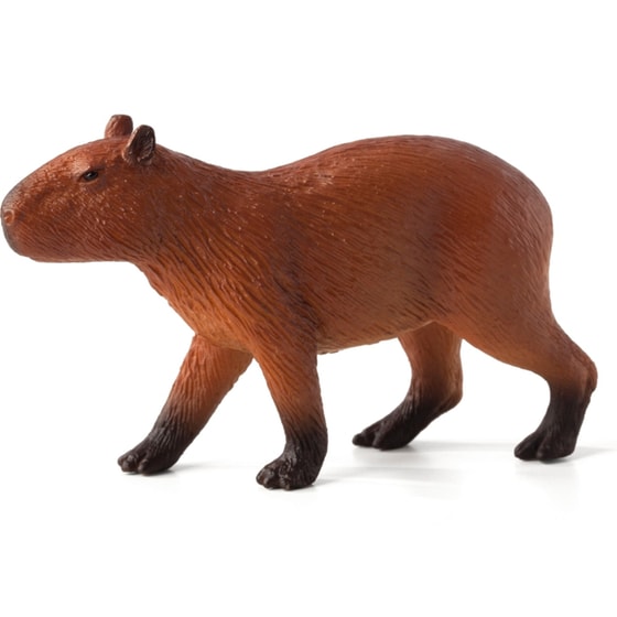 Καπιμπάρα Animal Planet (M) image 0