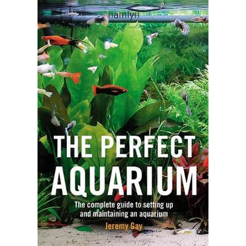 The Perfect Aquarium