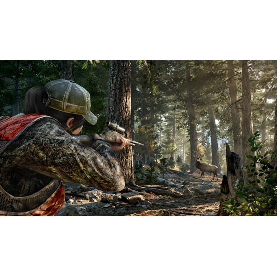 Far Cry 5 - PS4 image 10