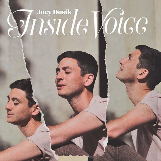 Inside Voice image 0