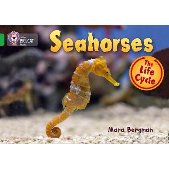 Seahorses Seahorses- Band 05/Green image 0