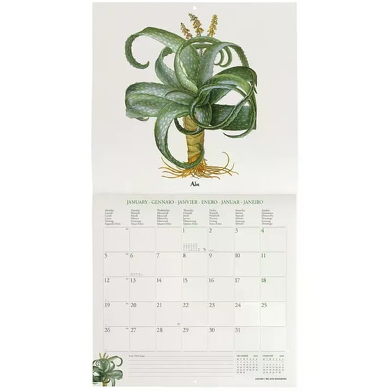 Ημερολόγιο Τοίχου Legami 2026 Herbarium 30x29cm image 1