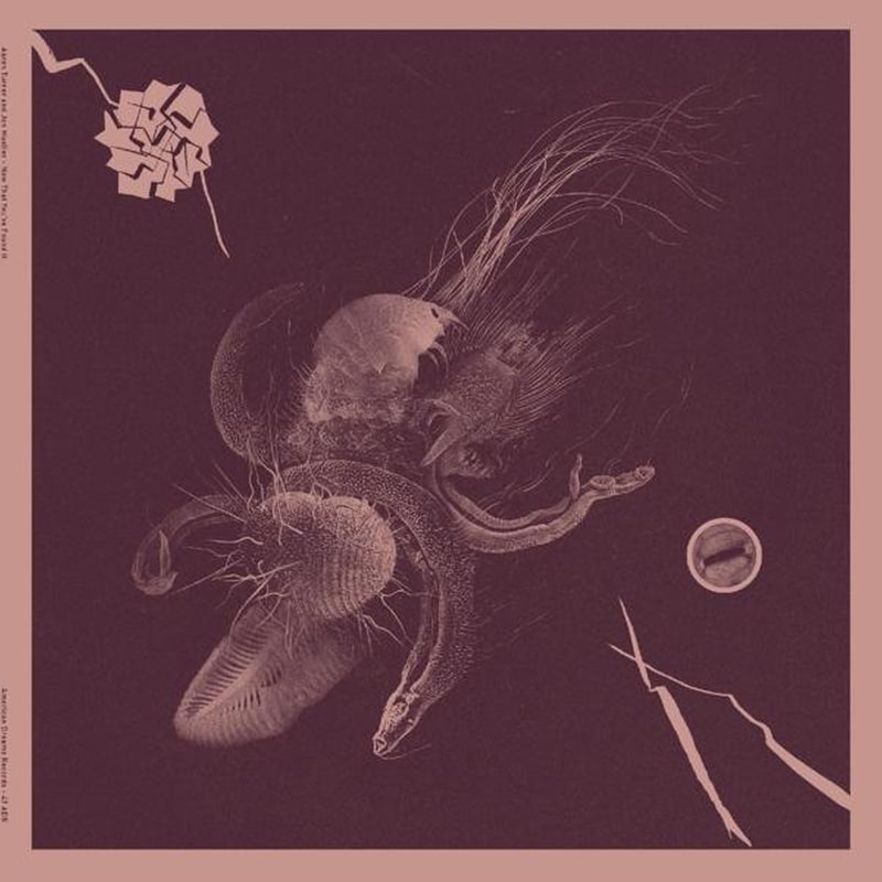 Now That Youve Found It