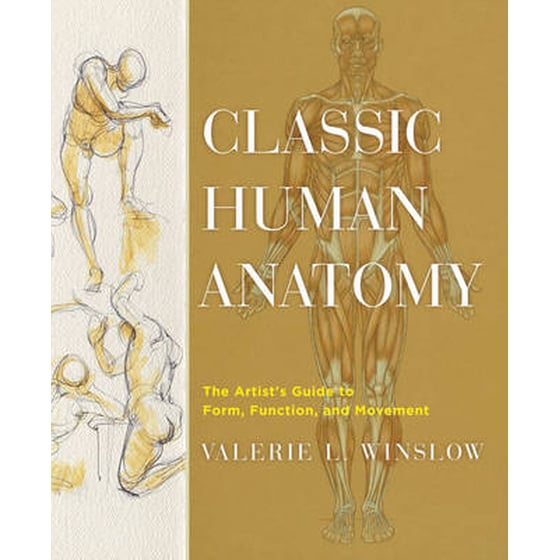 Classic Human Anatomy image 0