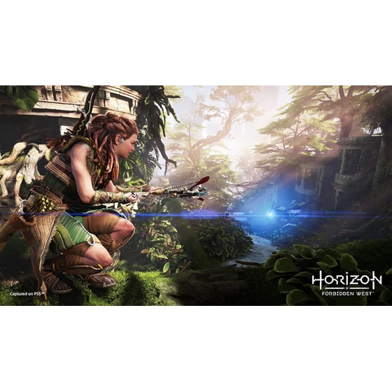 Horizon Forbidden West - PS5 image 6
