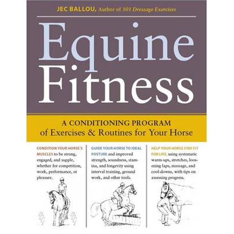 Equine Fitness
