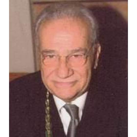 Γιάννης Σαρεγιάννης image 1