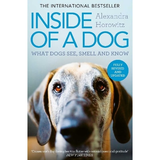 Inside of a Dog image 0
