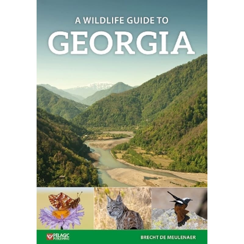A Wildlife Guide to Georgia