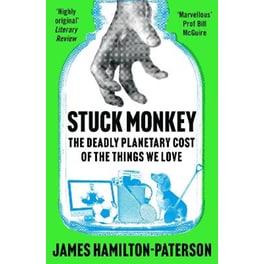 Stuck Monkey