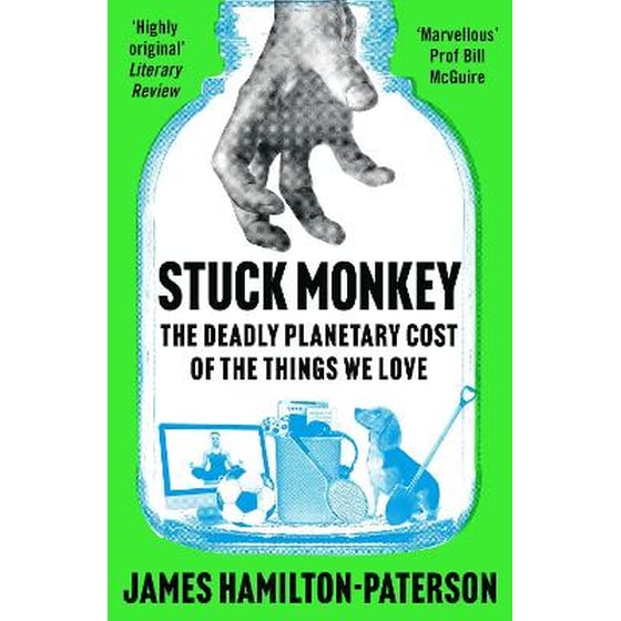 Stuck Monkey image 0