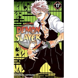 Demon Slayer: Kimetsu no Yaiba, Vol. 17