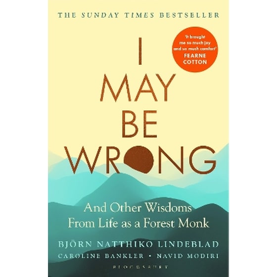 I May Be Wrong image 0