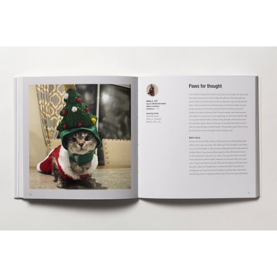 Read This If You Want to be Instagram Famous image 3