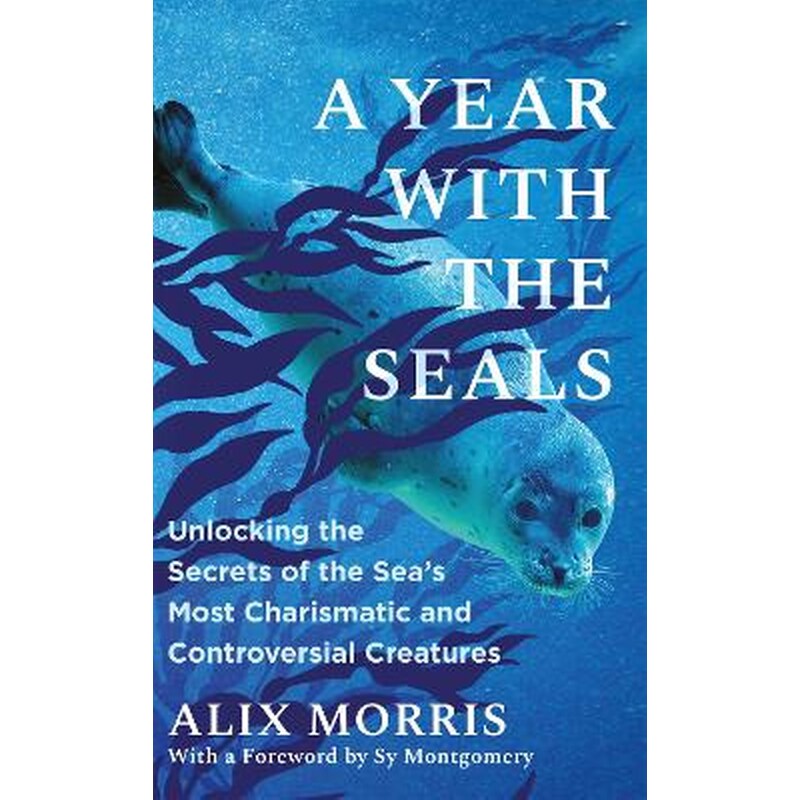 A Year with the Seals