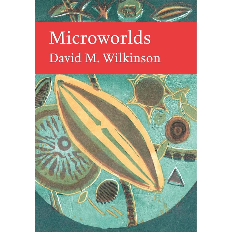 Microworlds
