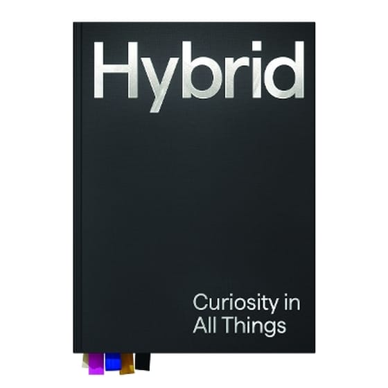 Hybrid image 0