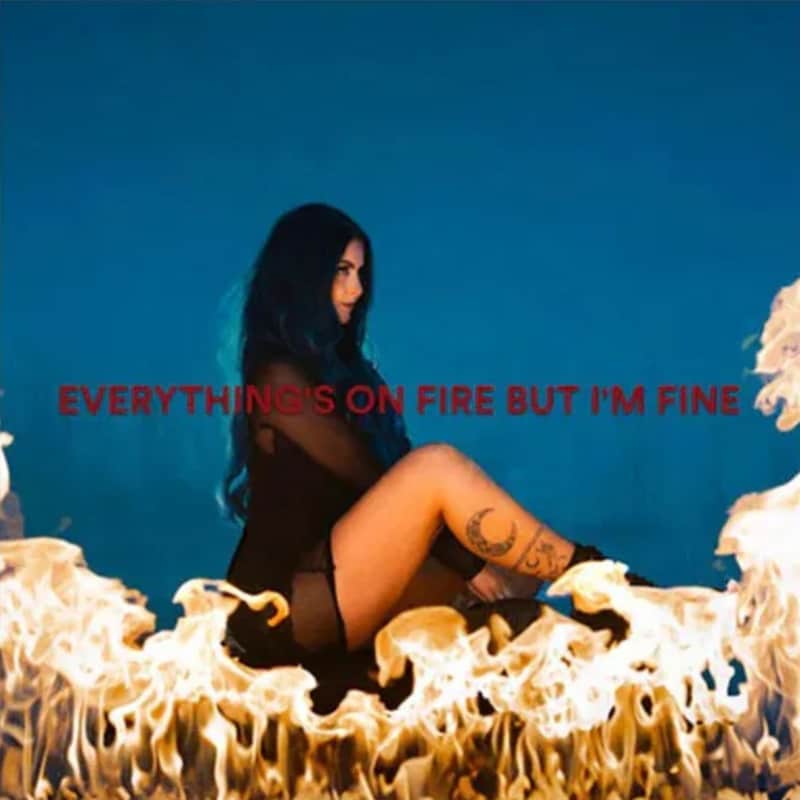 Everythings On Fire But Im Fine (LP)
