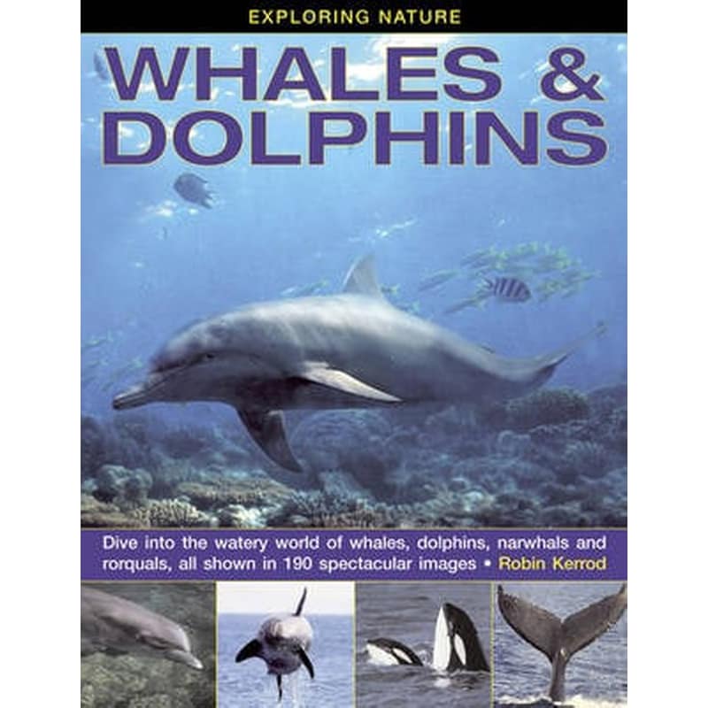 Exploring Nature- Whales Dolphins