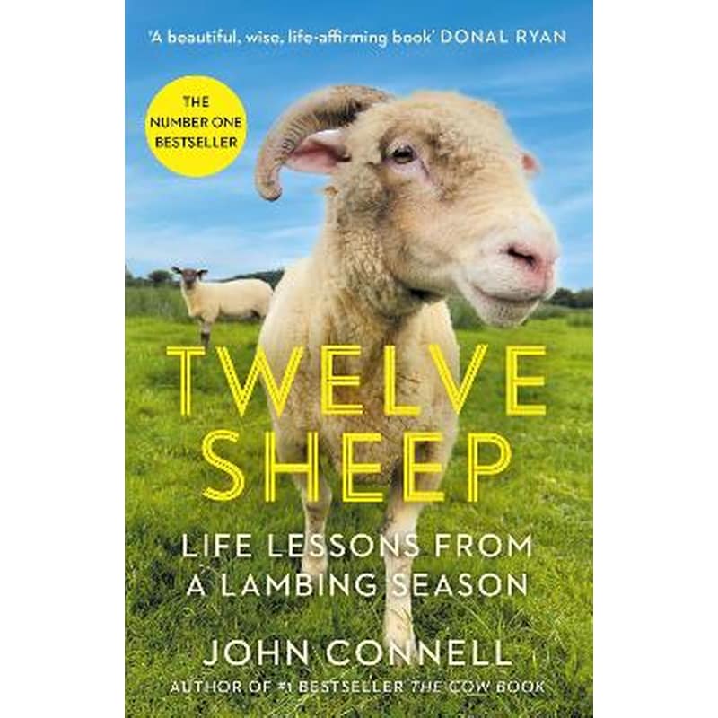 Twelve Sheep